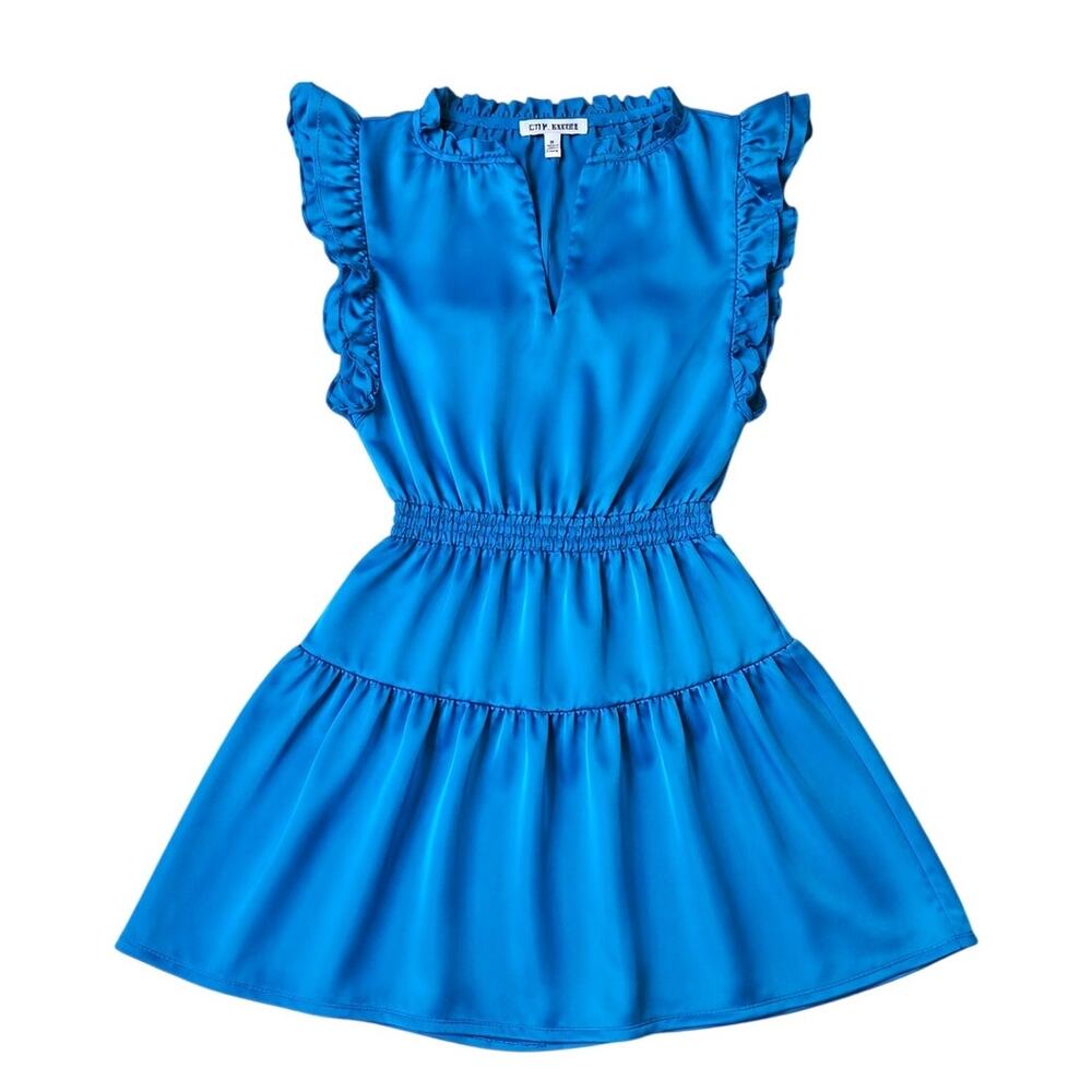 Steve Madden Blue Prairie Dreams Ruffle Sleeve Mini Dress XS